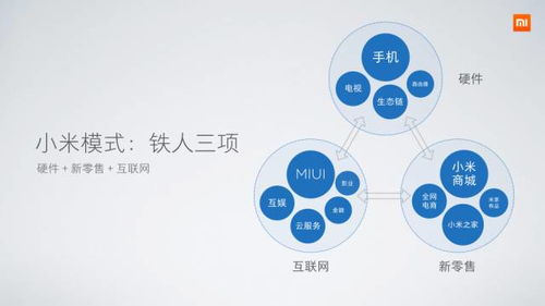 雷軍的痛苦與小米的逆轉(zhuǎn) 解碼互聯(lián)網(wǎng)銷售背后的關(guān)鍵邏輯